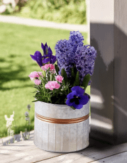Pot flowers